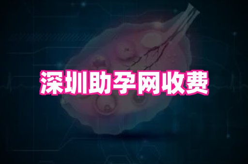 gfg孕网 2