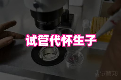 gfg孕网 4
